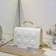 2025SS トートバッグ DIOR ディオール 完売次第終了早い者勝ち 2025SS トートバッグ DIOR ディオール 完売次第終了早い者勝ち