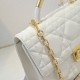 2025SS トートバッグ DIOR ディオール 完売次第終了早い者勝ち 2025SS トートバッグ DIOR ディオール 完売次第終了早い者勝ち
