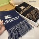 2025FW スカーフ BURBERRY バーバリー 今、注目度急上昇中の洗練アイテム