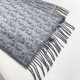 2025FW スカーフ DIOR ディオール VIPセール限定！驚きのスペシャルプライス