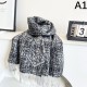 2025FW スカーフ LOEWE ロエベ 洗練デザインが魅力の未入荷新作