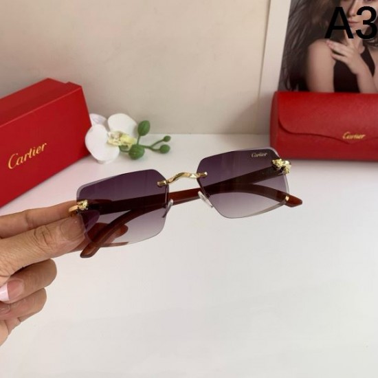2025FW サングラス CARTIER カルティエ シーズン問わず使える飽きのこないデザイン