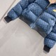 2025FW LOUIS VUITTON ルイヴィトン 今年らしい人気コーデ ダウンジャケット