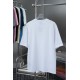 2025SS 半袖Tシャツ DIOR ディオール 抜群な魅力的なアイテム 2025SS 半袖Tシャツ DIOR ディオール 抜群な魅力的なアイテム