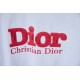 2025SS 半袖Tシャツ DIOR ディオール 抜群な魅力的なアイテム 2025SS 半袖Tシャツ DIOR ディオール 抜群な魅力的なアイテム
