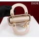 2025SS トートバッグ DIOR ディオール 大人っぽいスタイルが完成 2025SS トートバッグ DIOR ディオール 大人っぽいスタイルが完成