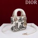 2025SS トートバッグ DIOR ディオール 今季は色を使った注目新品 2025SS トートバッグ DIOR ディオール 今季は色を使った注目新品
