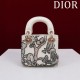2025SS トートバッグ DIOR ディオール 今季は色を使った注目新品 2025SS トートバッグ DIOR ディオール 今季は色を使った注目新品