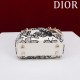 2025SS トートバッグ DIOR ディオール 今季は色を使った注目新品 2025SS トートバッグ DIOR ディオール 今季は色を使った注目新品