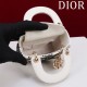 2025SS トートバッグ DIOR ディオール 今季は色を使った注目新品 2025SS トートバッグ DIOR ディオール 今季は色を使った注目新品