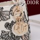 2025SS トートバッグ DIOR ディオール 今季は色を使った注目新品 2025SS トートバッグ DIOR ディオール 今季は色を使った注目新品