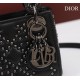 2025SS トートバッグ DIOR ディオール 特に話題なの上品 即完売 2025SS トートバッグ DIOR ディオール 特に話題なの上品 即完売