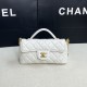 2025SS トートバッグ CHANEL シャネル 著名人やセレブも愛用する 2025SS トートバッグ CHANEL シャネル 著名人やセレブも愛用する