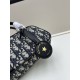 2025SS トートバッグ DIOR ディオール 春夏季超人気手元在庫あり 2025SS トートバッグ DIOR ディオール 春夏季超人気手元在庫あり