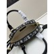 2025SS トートバッグ DIOR ディオール 春夏季超人気手元在庫あり 2025SS トートバッグ DIOR ディオール 春夏季超人気手元在庫あり