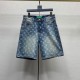 2025SS デニムパンツ LOUIS VUITTON ルイヴィトン VIPセールで奇跡 2025SS デニムパンツ LOUIS VUITTON ルイヴィトン VIPセールで奇跡