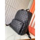 2025SS バックパック LOUIS VUITTON ルイヴィトン 夏にピッタリのアイテム