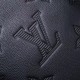 LOUIS VUITTON ルイヴィトン ショルダーバッグ 2025SS 絶大な人気を誇る新作