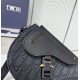 2025FW ショルダーバッグ DIOR ディオール ファッション感度の高い 洗練された新作モデル