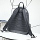 2025FW バックパック DIOR ディオール 最新トレンドを追求した高級ラグジュアリーバッグ