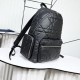 2025FW バックパック DIOR ディオール 最新トレンドを追求した高級ラグジュアリーバッグ