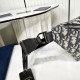 2025FW ウエストバッグ DIOR ディオール 秋冬マストハブ 大人買い必須の注目新作