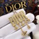 2026新品 ブローチ DIOR ディオール 好感度の高い洗練アイテム
