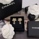 2026新品 イヤリング CHANEL シャネル 新作限定！早い者勝ちのプレミアムアイテム