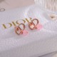 2026新品 イヤリング DIOR ディオール 海外支持率高！注目のアイテム