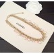 2026新品 ネックレス CHANEL シャネル 品質の高さで選ばれる人気モデル