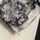 2026年新作 DIOR ディオール セットアップ 超人気 美品セール中