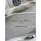 2026新品 ショルダーバッグ DIOR ディオール セレブ注目 最新トレンド優雅デザイン