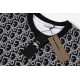 2026新品 半袖Tシャツ DIOR ディオール 日本未発売の海外限定モデル