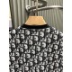 2026新品 半袖Tシャツ DIOR ディオール 人気ラグジュアリーブランド