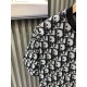 2026新品 半袖Tシャツ DIOR ディオール 人気ラグジュアリーブランド
