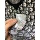 2026新品 半袖Tシャツ DIOR ディオール 人気ラグジュアリーブランド