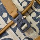 DIOR ディオール ショルダーバッグ 2026新作 ワンランク上の洗練コーデ