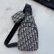 DIOR ディオール ボディバッグ 2026新作 雑誌掲載の注目アイテム