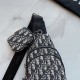 DIOR ディオール ボディバッグ 2026新作 雑誌掲載の注目アイテム