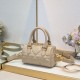 DIOR ディオール トートバッグ 2026新作 新作限定スペシャルプライス