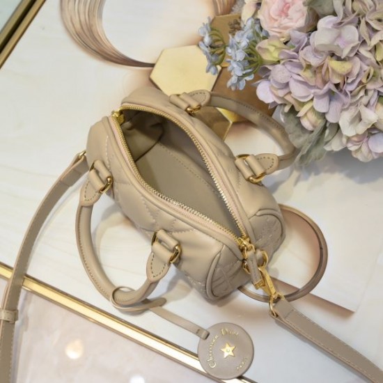 DIOR ディオール トートバッグ 2026新作 新作限定スペシャルプライス